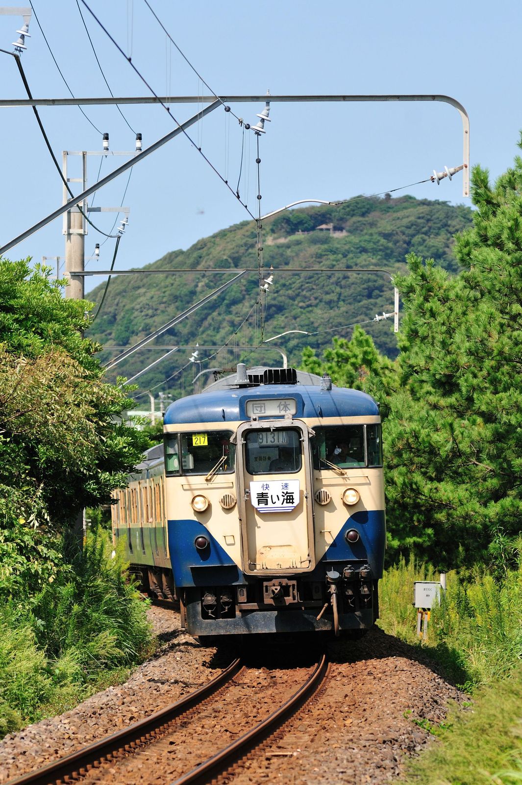 113系 スカ色 湘南色 ラストラン 別倉庫からの配送