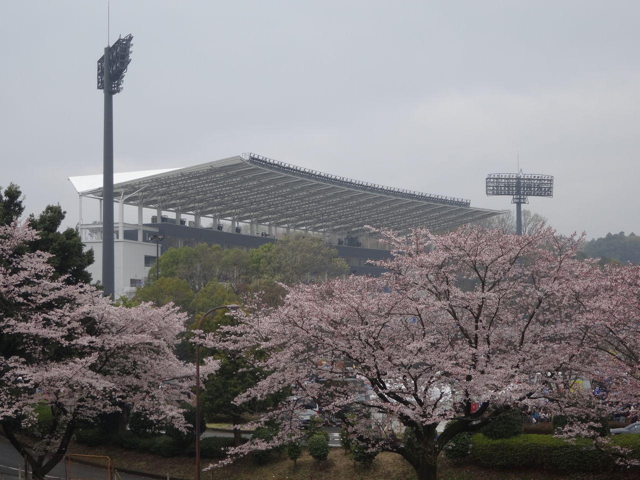 ｊ２第６節 Fc町田ゼルビア Vs 北海道コンサドーレ札幌 Journal Bleu