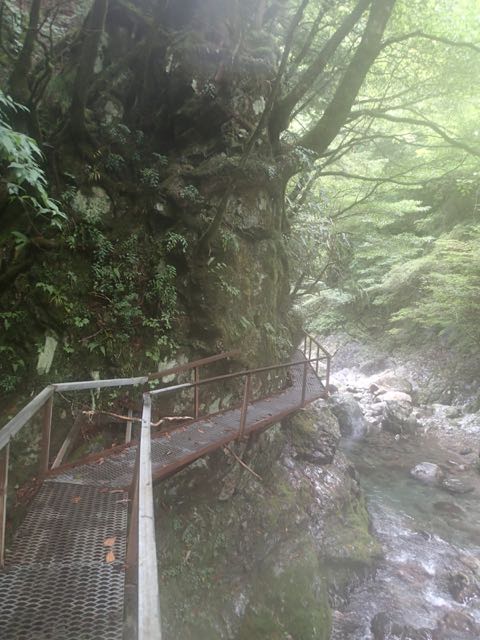 P8300014