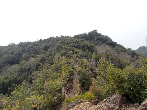 P2250040 (1)