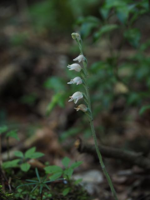 P8230131