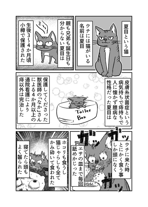 130-夏目について_001