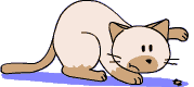 動物の動画イラスト ひとりごと