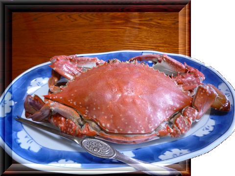 3d 飛び出す画像 ひとりごと 3d 飛び出す画像 ひとりごと