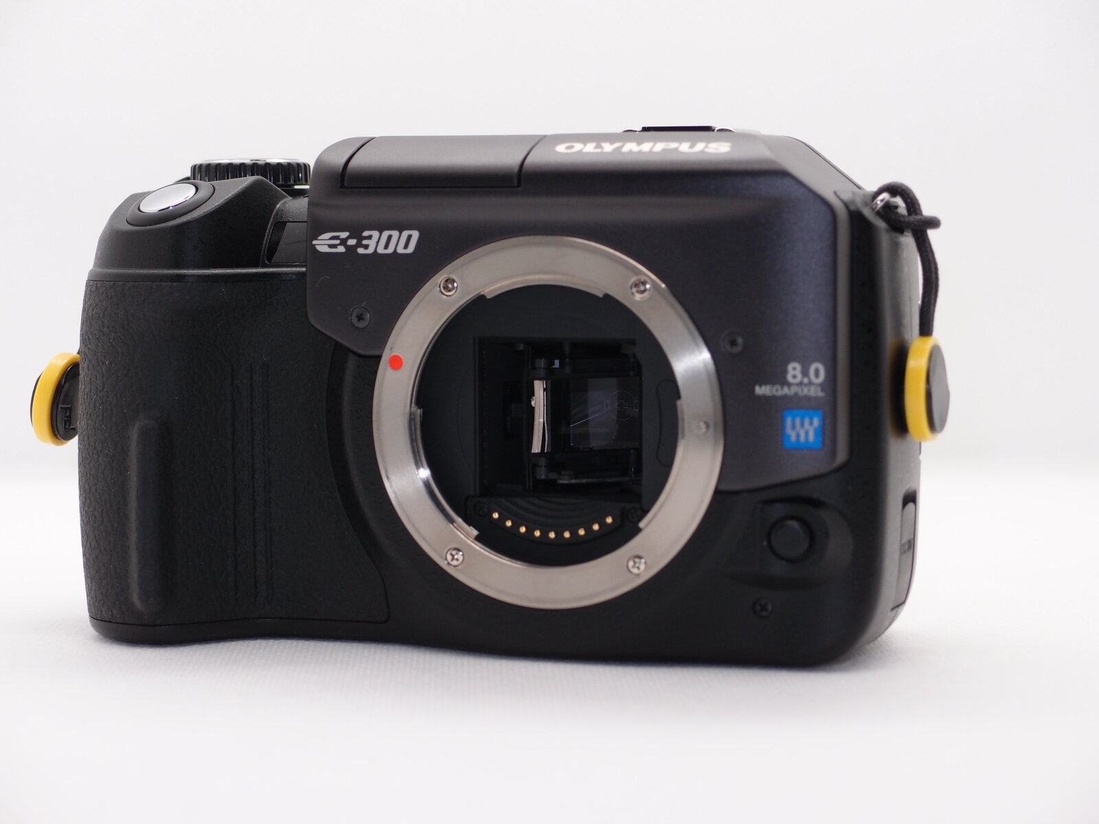 OLYMPUS E-300 : E-DAYS+α OLYMPUS E-300 : E-DAYS+α