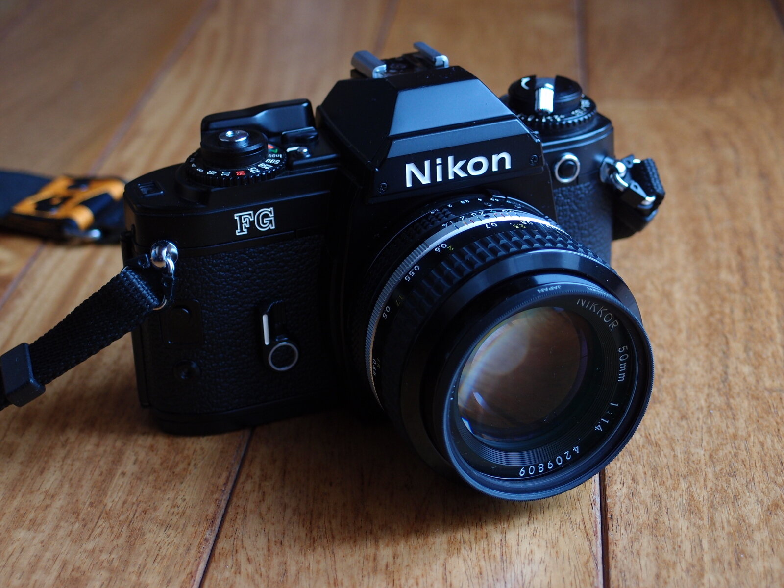 Nikon FG : E-DAYS+α Nikon FG : E-DAYS+α