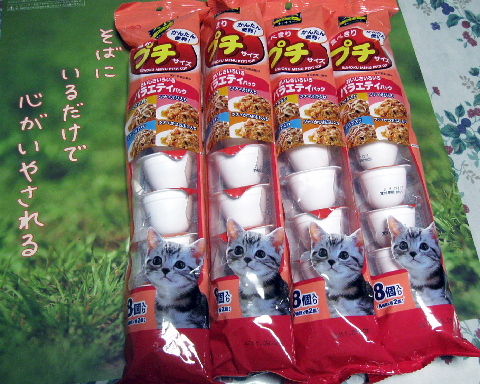 猫の乳腺腫瘍観察記録2011年1月1日～1月31日【余命7ヶ月前、健気に生き 