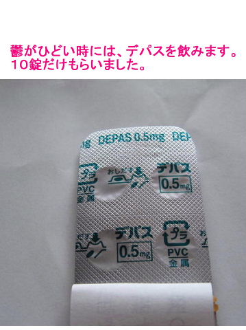 クリニックに行きました【デパスの代わりに新しい薬にチャレンジ】&【気休めに海をみた】写真 : 『東北生まれの田舎生活』過去と現在の日常日記