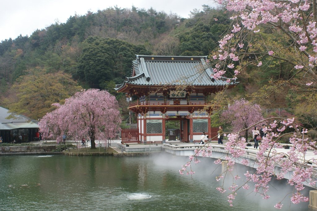 勝尾寺 桜 おすすめ旅行記 47都道府県完全制覇 勝尾寺 桜 おすすめ旅行記 47都道府県完全制覇