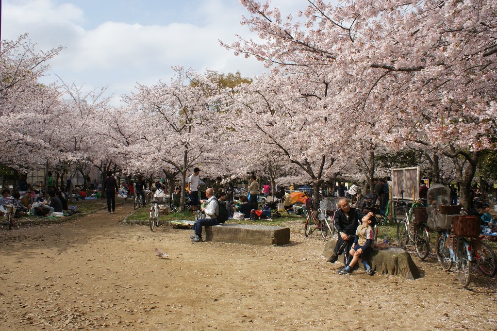花見 長居公園 おすすめ旅行記 47都道府県完全制覇