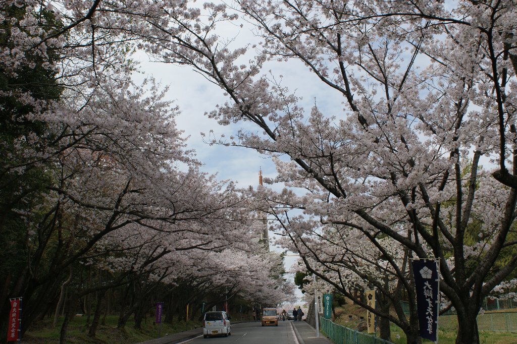 茨木弁天 桜花見 おすすめ旅行記 47都道府県完全制覇