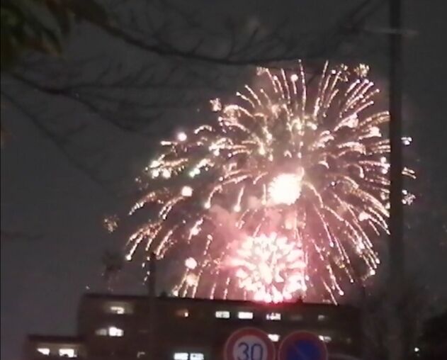 長居公園で花火 団塊世代の趣味 4853 大阪 団塊世代の趣味と生活のブログ