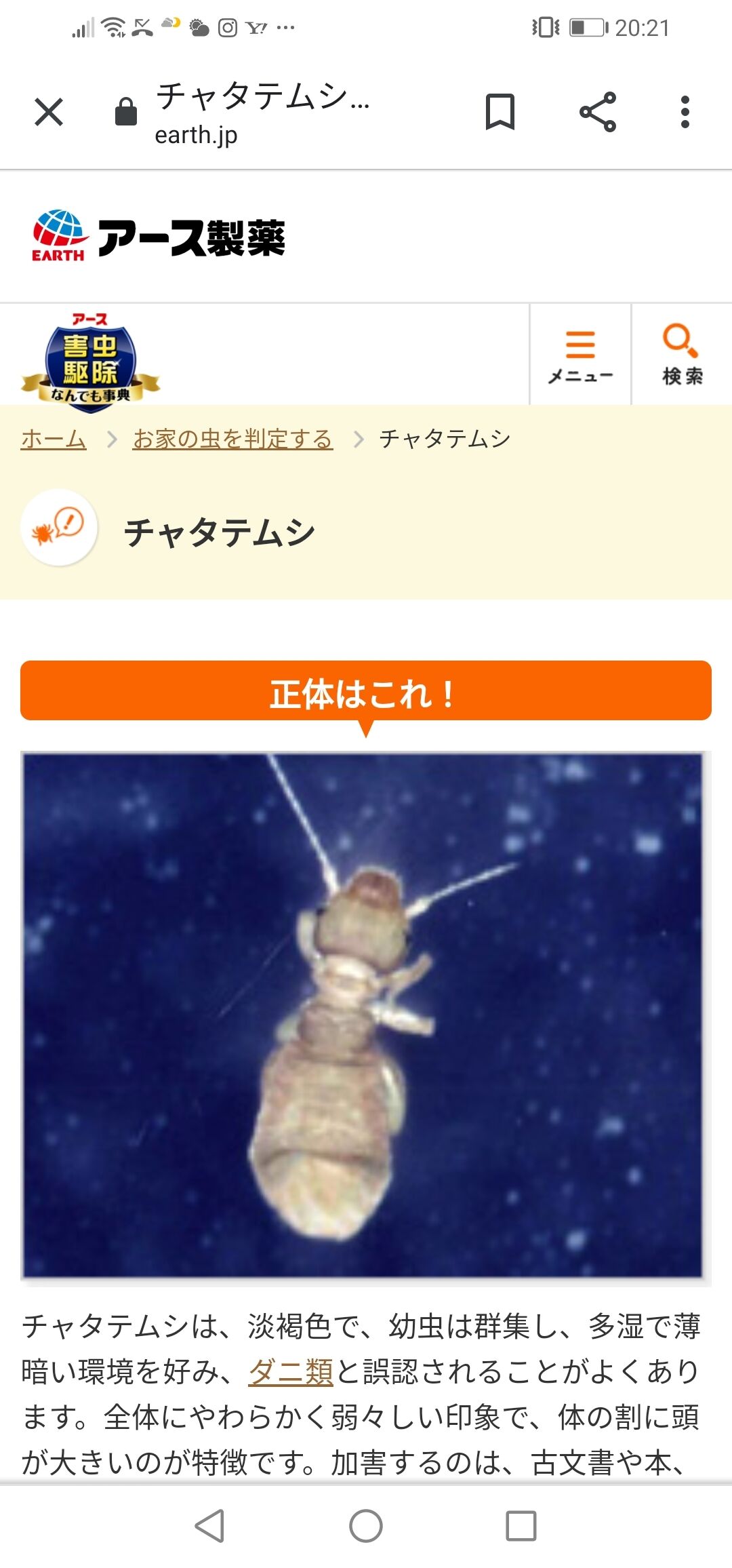 何かに刺されて痒いかゆい 団塊世代の趣味 4366 大阪 団塊世代の趣味と生活のブログ 何かに刺されて痒いかゆい 団塊世代の趣味 4366 大阪 団塊世代の趣味と生活のブログ