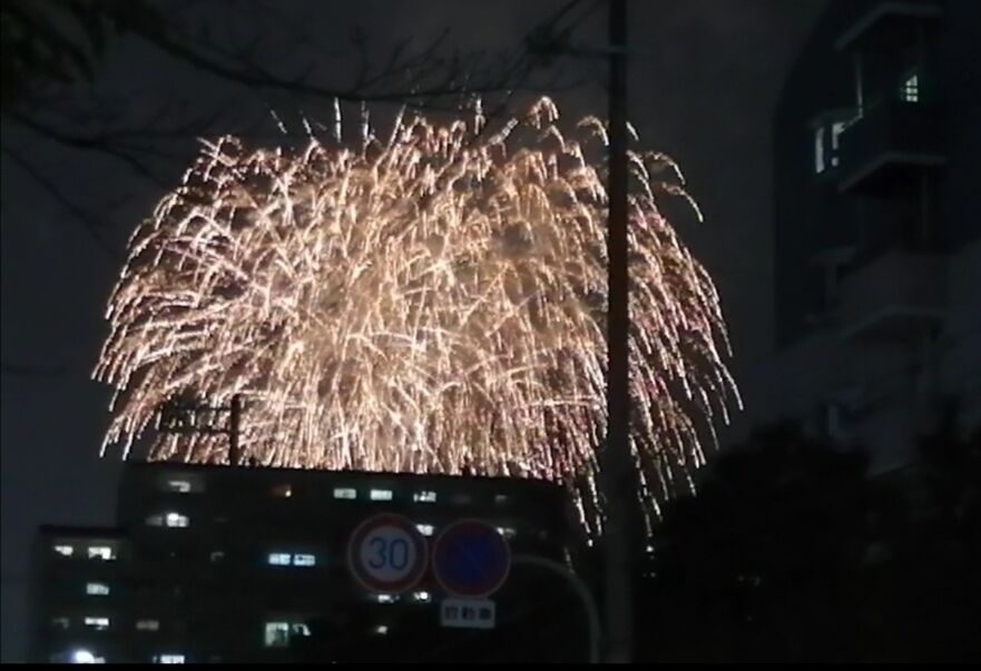 長居公園で花火 団塊世代の趣味 4853 大阪 団塊世代の趣味と生活のブログ
