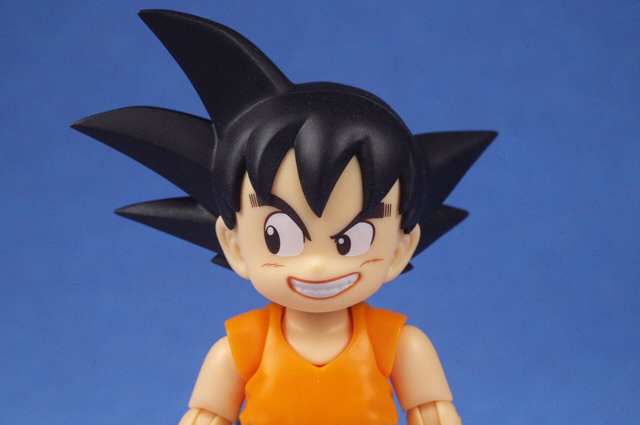 S.H.フィギュアーツ 孫悟空＆龍-40周年記念Edition- レビュー : はっちゃか