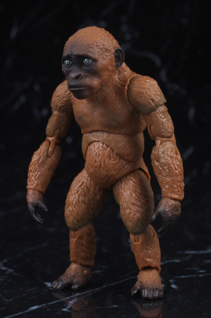 S.H.モンスターアーツ SUKO & MOTHRA (2024) FROM GODZILLA