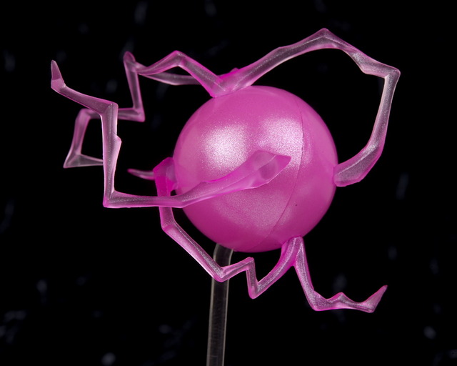 P00_0162