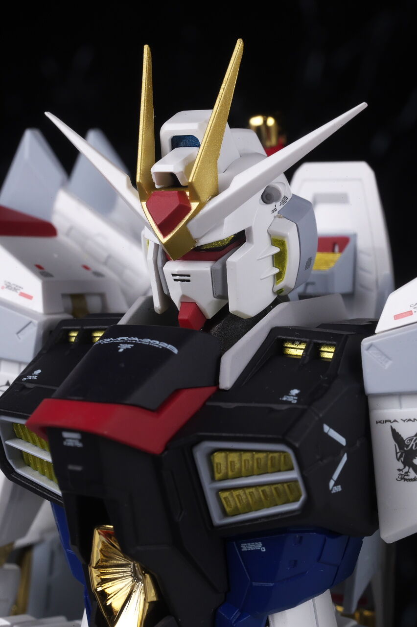 超合金 マイティーストライクフリーダムガンダム レビュー : は 超合金 マイティーストライクフリーダムガンダム レビュー : は