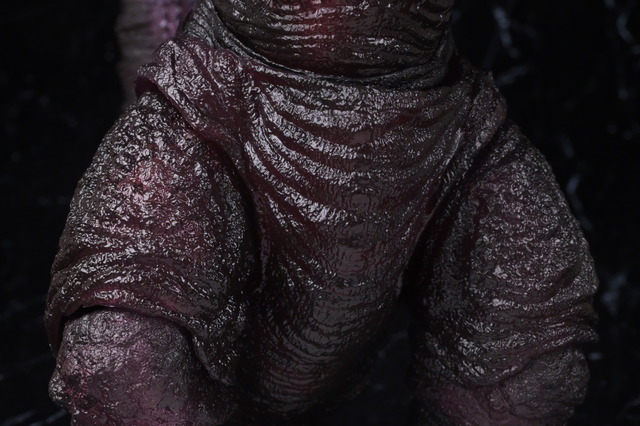 DSC_3288
