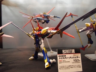 IMGP1577