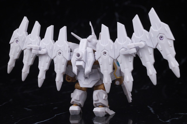DSC_1049