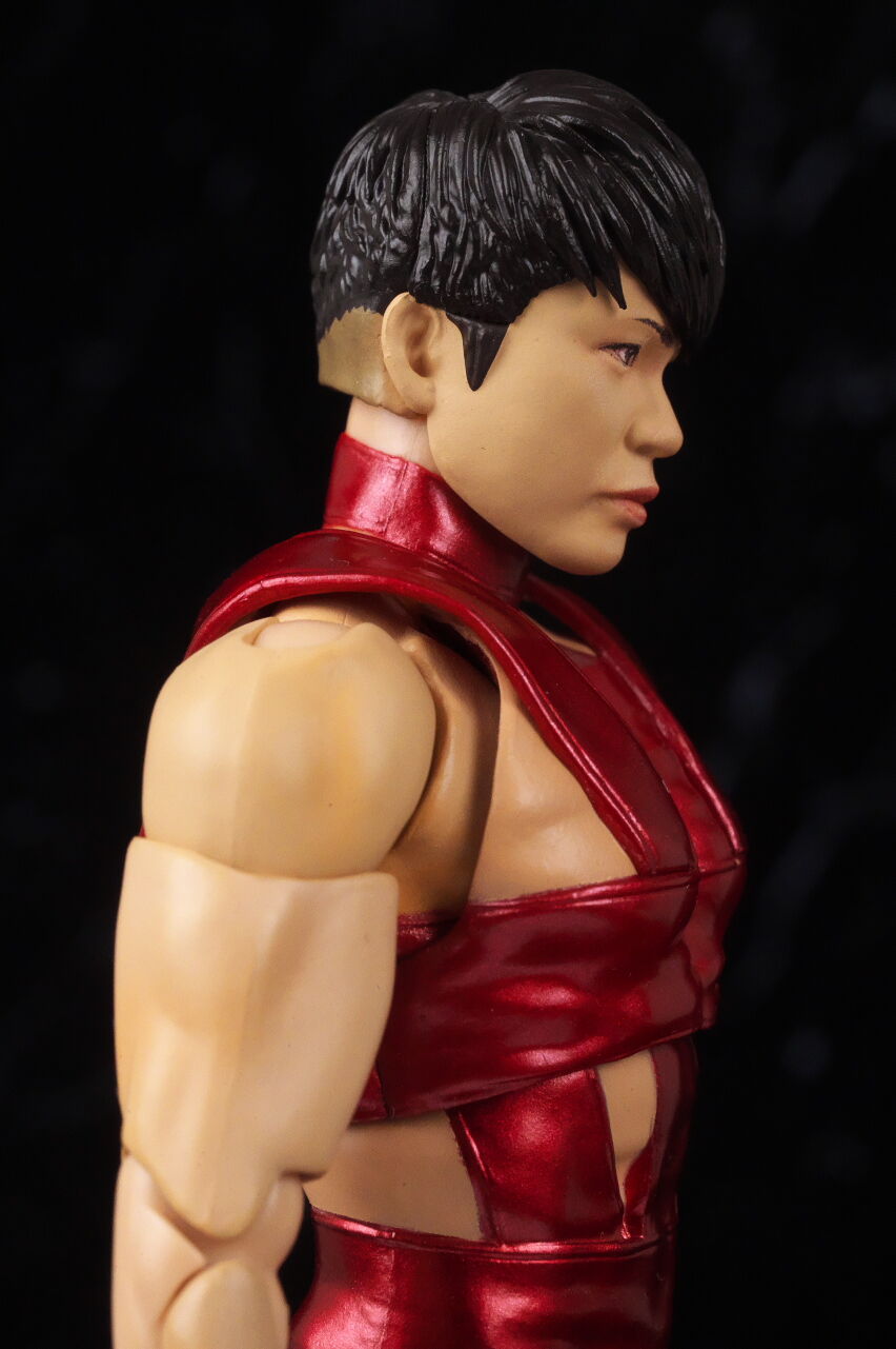 S.H.フィギュアーツ T.M.Revolution RED HOT LIMITED EDITION レビュー