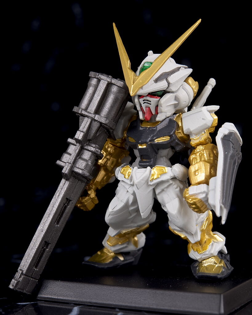 希少稀な ヴィンテージ ガンボア製(レネ・ガンボア作)アルマジロ 弦楽器