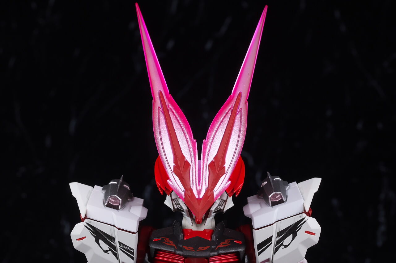 入荷中 Hi-Rotten様専用 ガンダムアストレイ レッドドラゴニクス