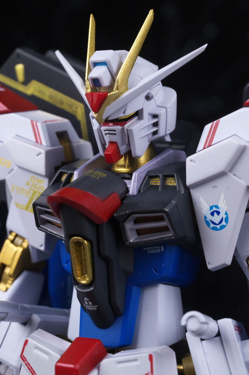 METAL ROBOT魂 ストライクフリーダムガンダム弐式 レビュー : は