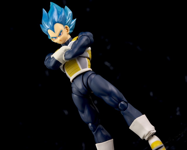 S.H.フィギュアーツ スーパーサイヤ人ゴッドスーパーサイヤ人ベジータ