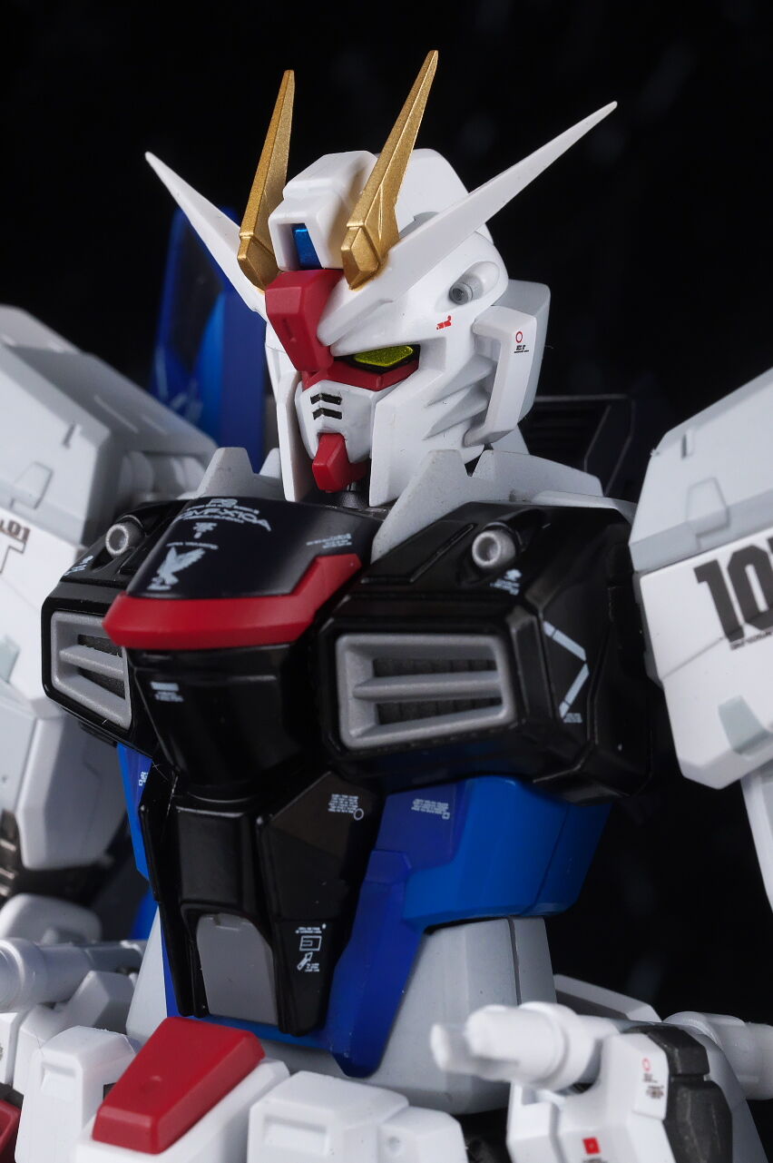 超合金 フリーダムガンダム Ver.GCP レビュー : はっちゃか