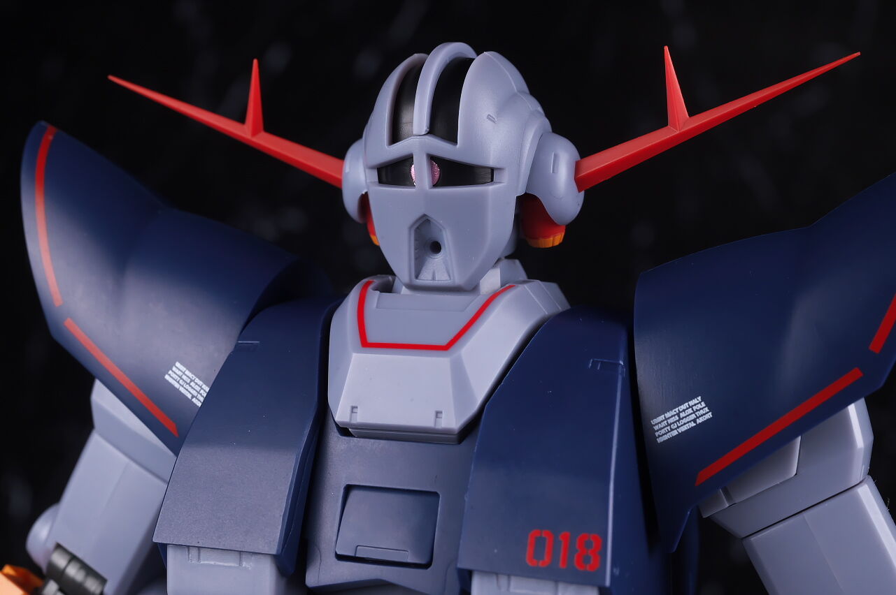 ROBOT魂 パーフェクトジオング ver. A.N.I.M.E. レビュー : はっ