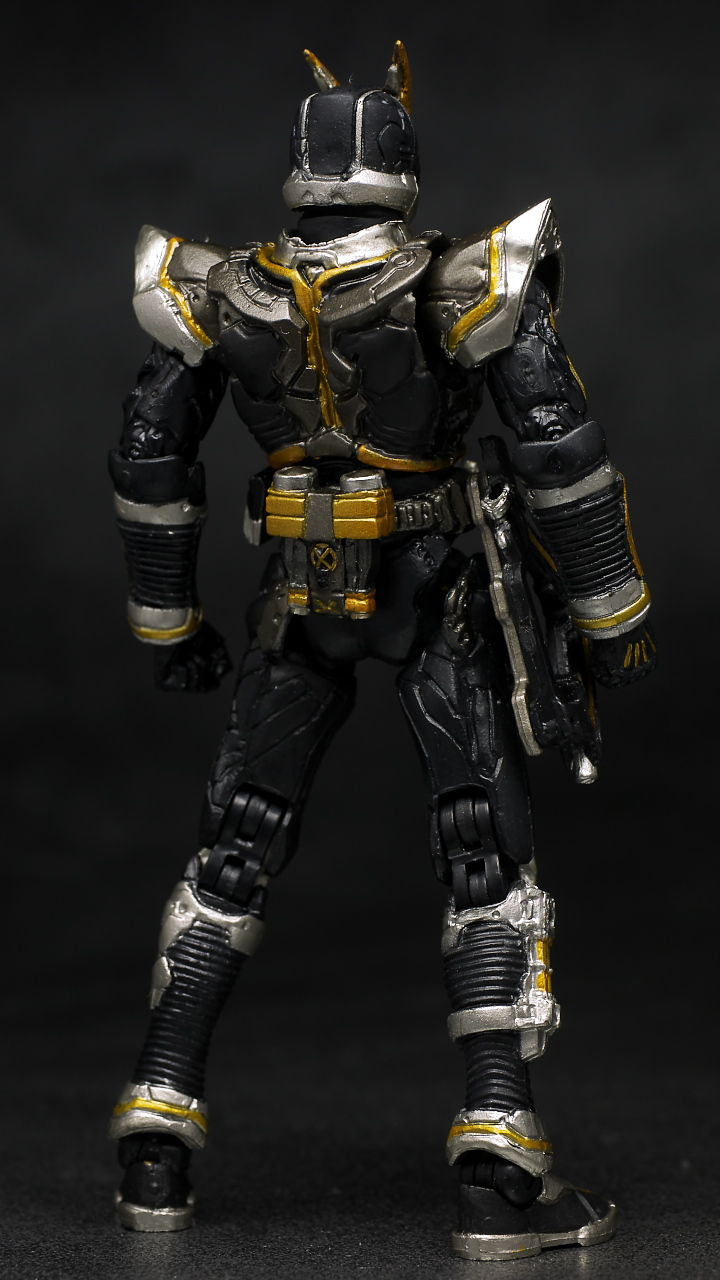 S.I.C.極魂 仮面ライダーカイザ レビュー : はっちゃか