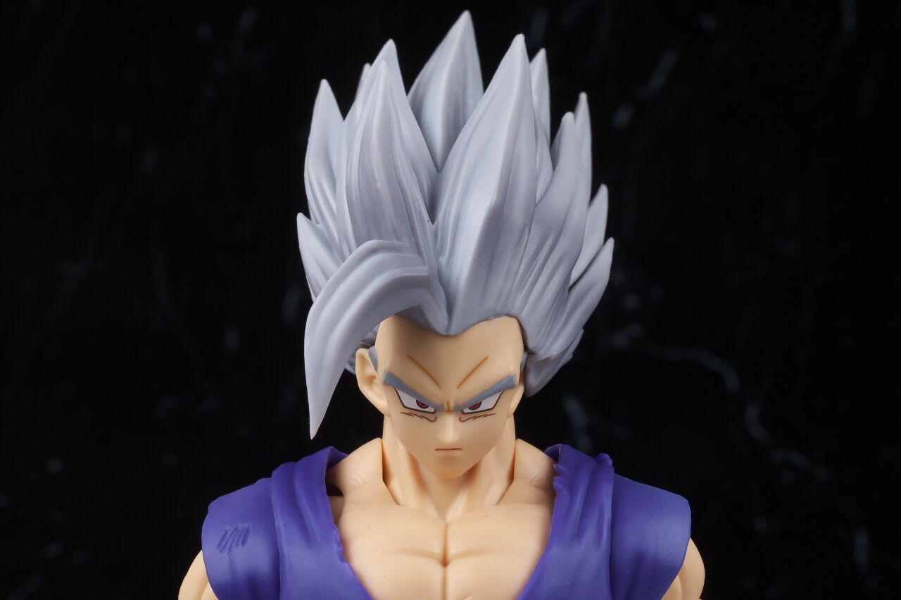 S.H.フィギュアーツ 孫悟飯ビースト レビュー : はっちゃか