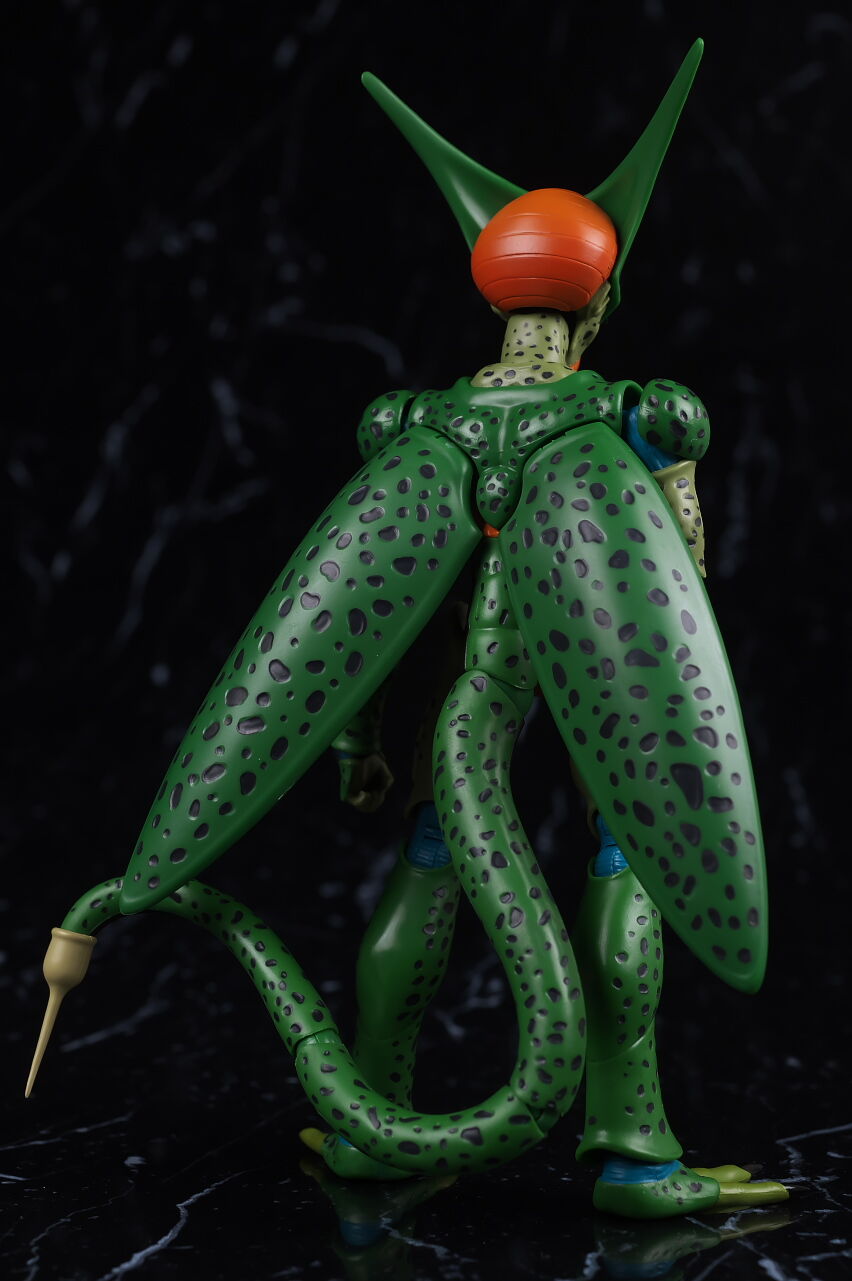 S H フィギュアーツ セル 第一形態 レビュー はっちゃか