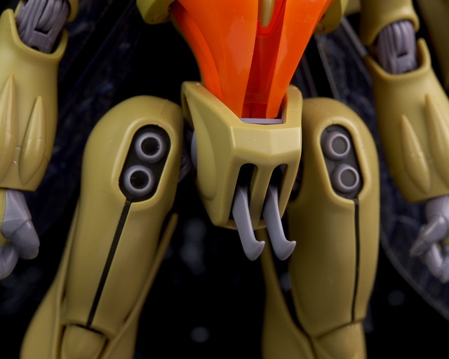 P00_7428