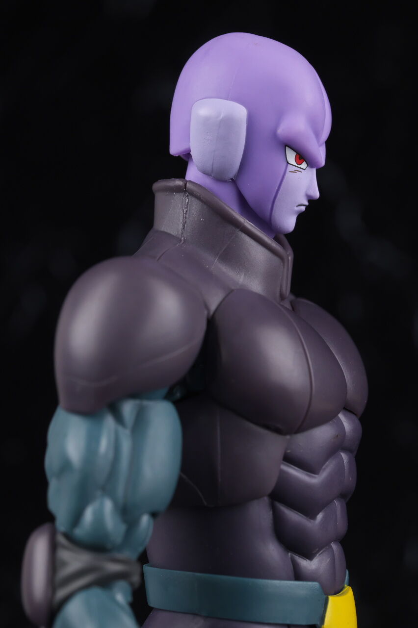 S.H figuarts ヒット レビュー】 S.H.Figuarts ヒット