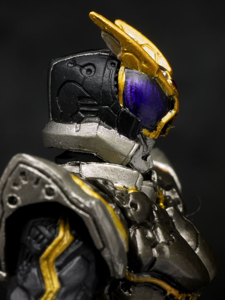 S.I.C.極魂 仮面ライダーカイザ レビュー : はっちゃか