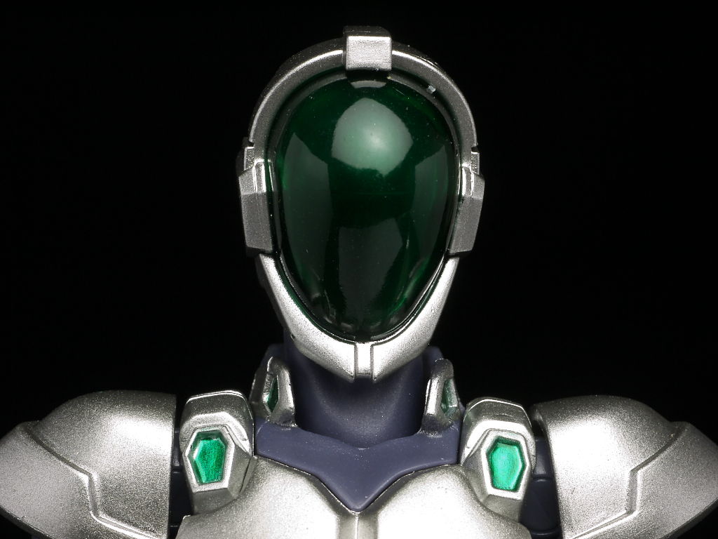 Amazon.com: S.H. Figuarts : Axel World Silver Crow : Toys