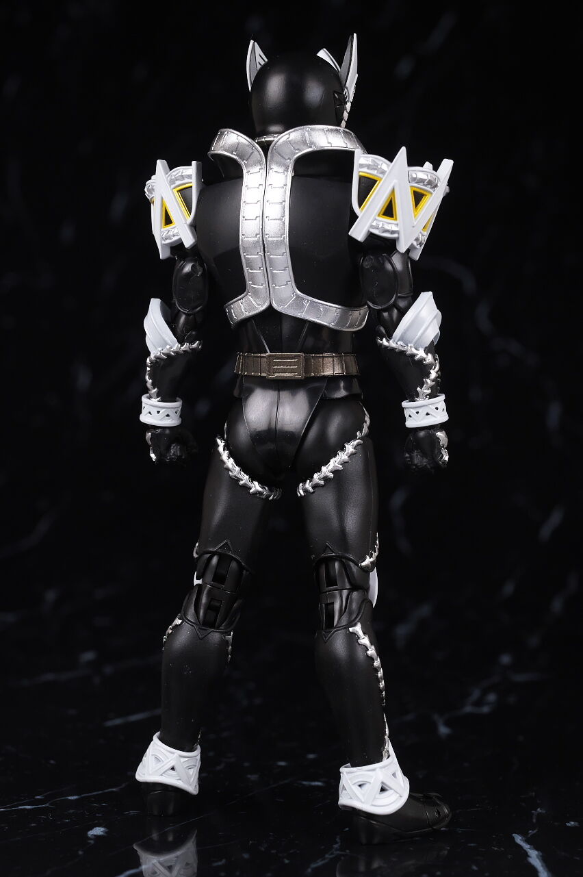 S.H.フィギュアーツ （真骨彫製法） 仮面ライダーサガ レビュー