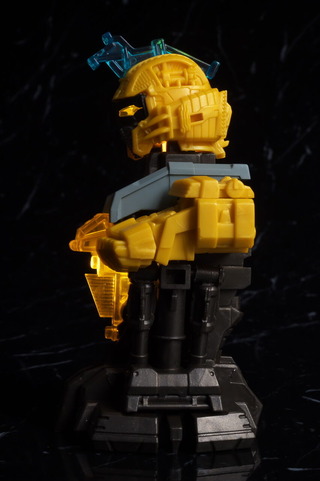DSC_5384