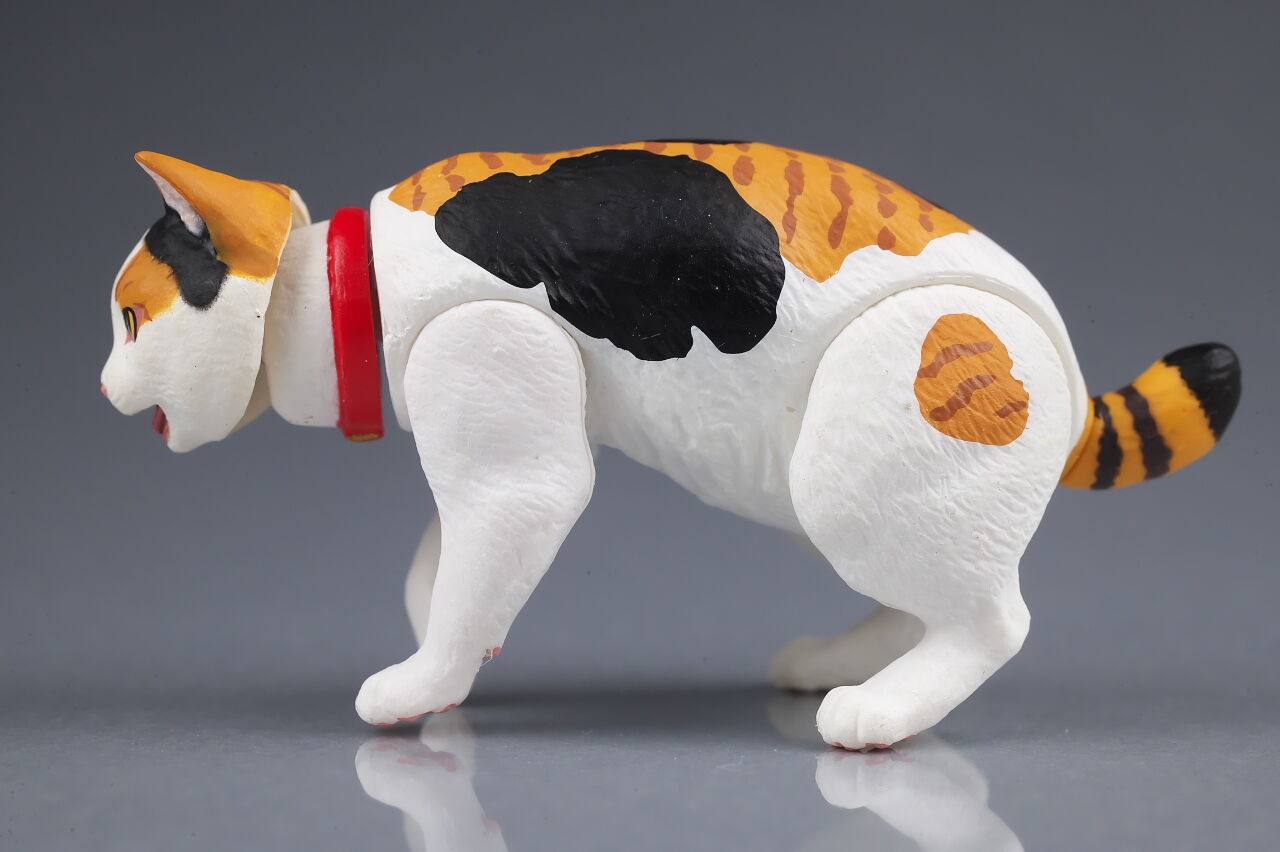 海洋堂 ニャンズ・ライフ レビュー : はっちゃか