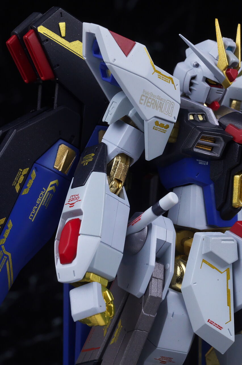 METAL ROBOT魂 ストライクフリーダムガンダム 20th Anniversary