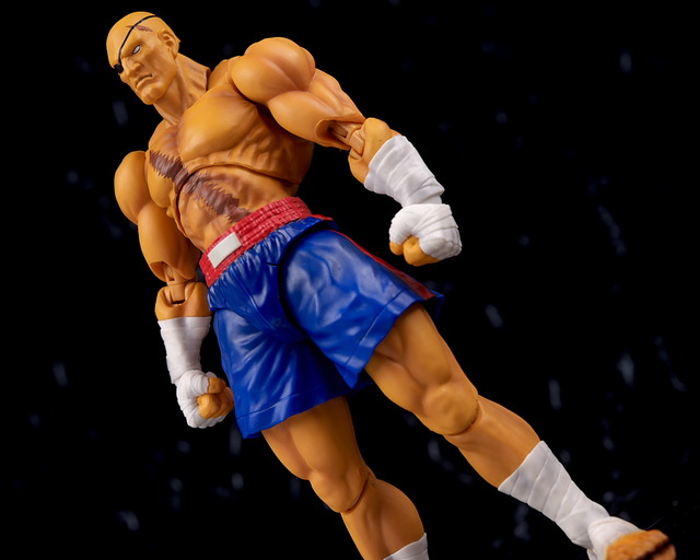 フィギュアーツ サガット レビュー