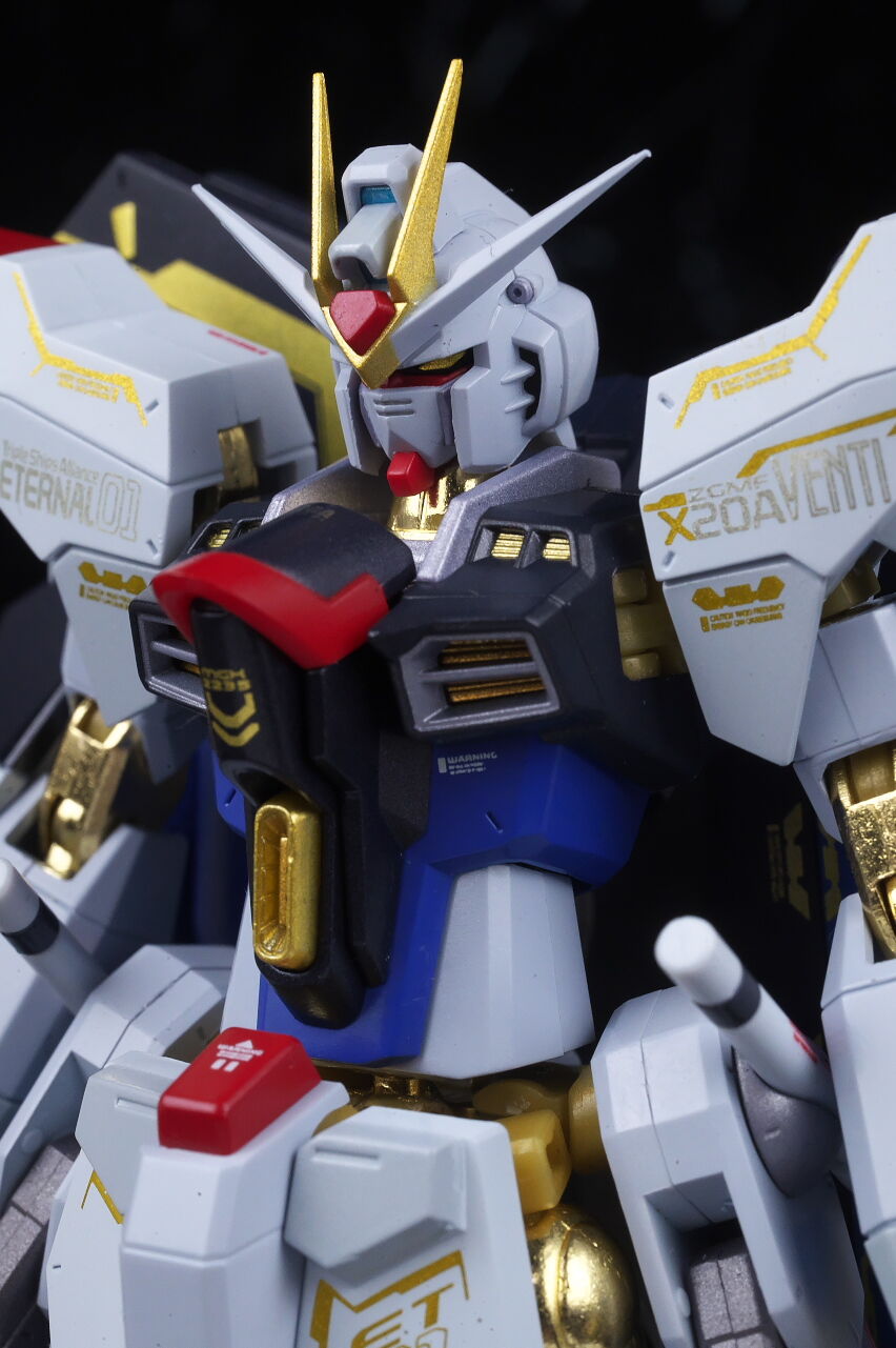L ROBOT魂ストライクフリーダム 20th Anniversary METAL ROBOT魂 ＜SIDE MS＞ ストライクフリーダムガンダム 20th