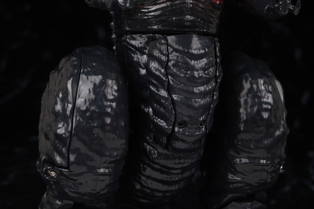 DSC_8794