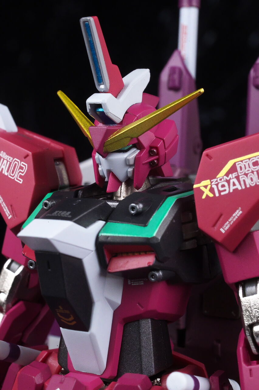 METAL ROBOT魂 インフィニットジャスティスガンダム 20th METAL ROBOT魂 インフィニットジャスティスガンダム 20th