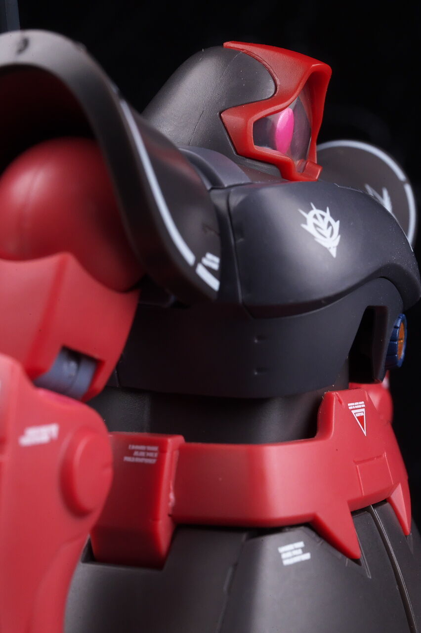 ROBOT魂 シャア専用リック・ドム ver. A.N.I.M.E. ～リアル