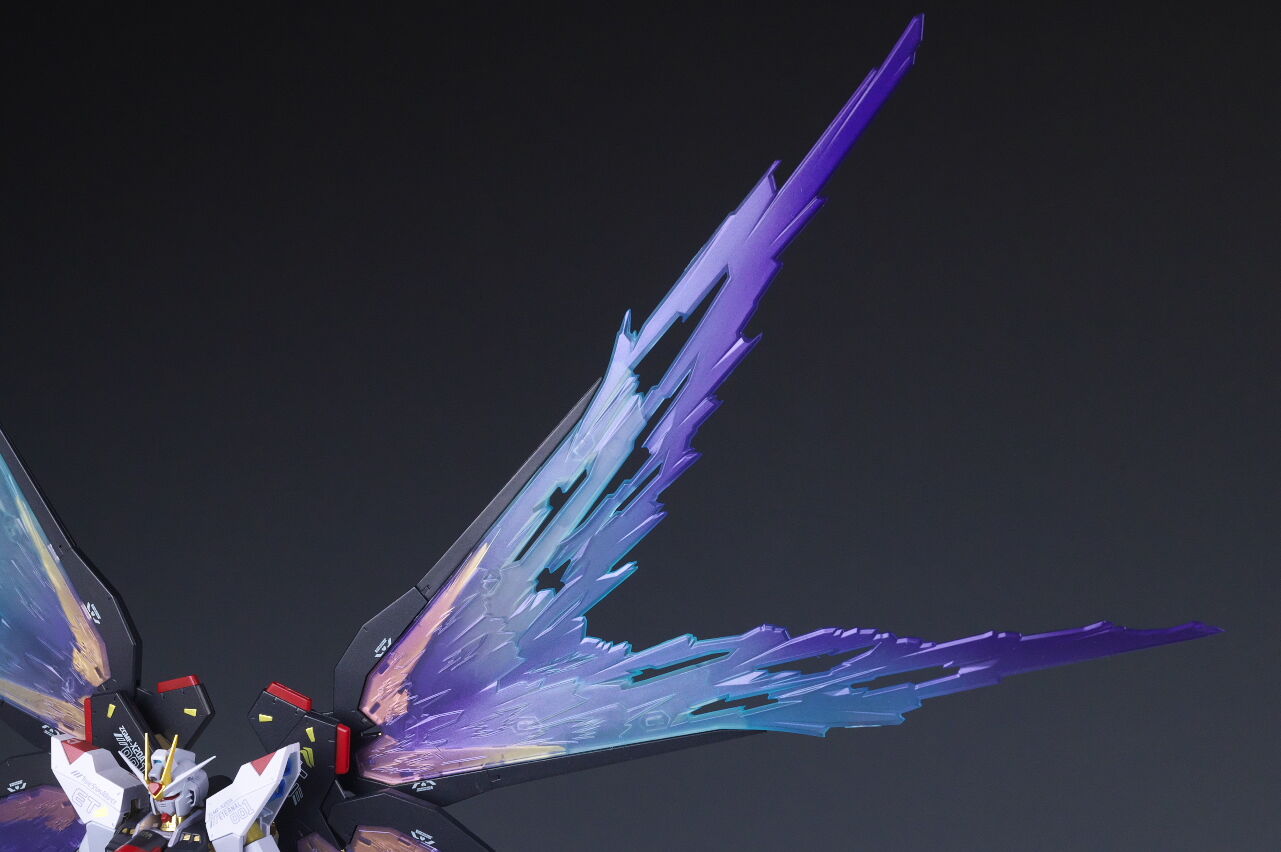 METAL ROBOT魂 ストライクフリーダムガンダム[Re:Coordinate]専用 光の