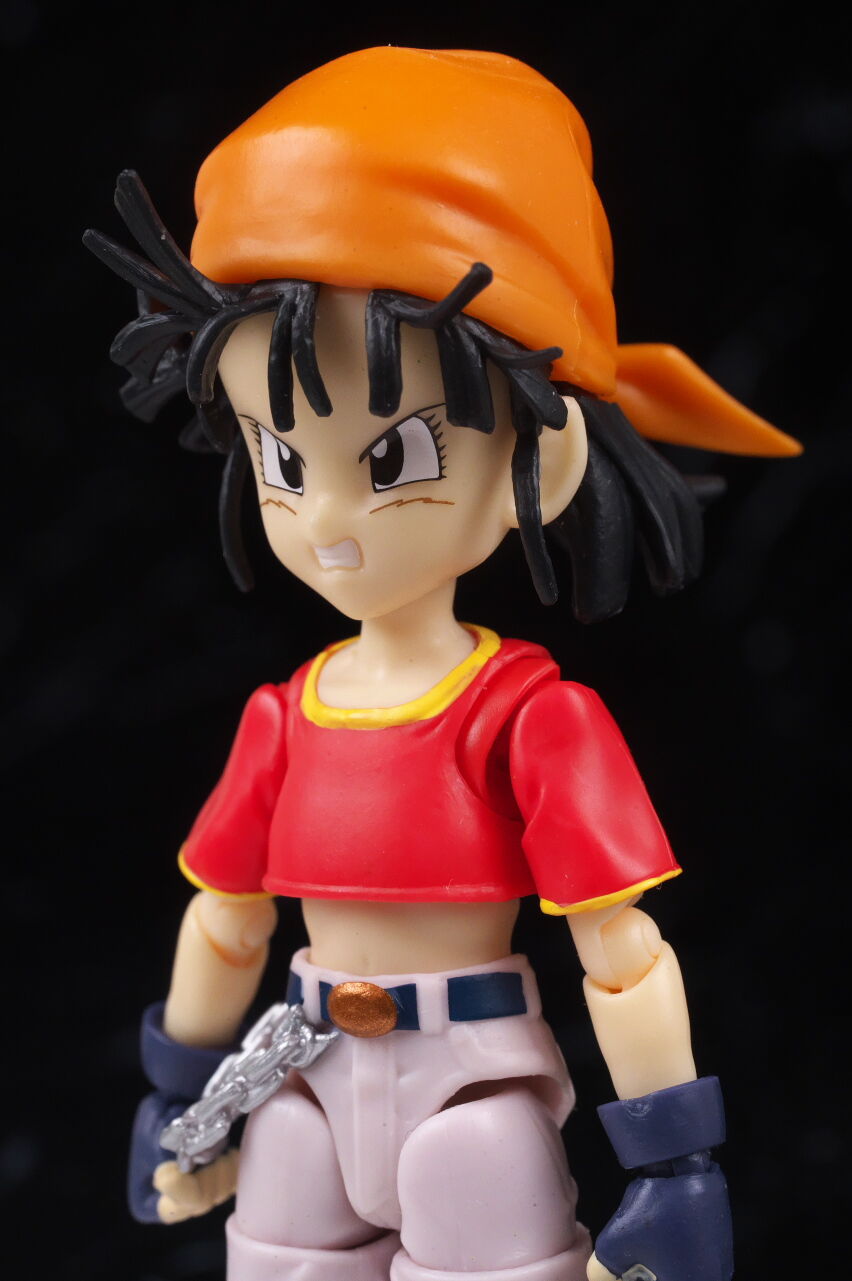 S.H.フィギュアーツ パン-GT-＆ギル レビュー : はっちゃか